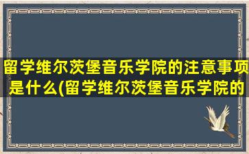 留学维尔茨堡音乐学院的注意事项是什么(留学维尔茨堡音乐学院的注意事项)