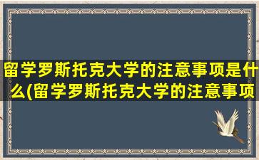 留学罗斯托克大学的注意事项是什么(留学罗斯托克大学的注意事项)