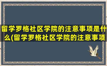 留学罗格社区学院的注意事项是什么(留学罗格社区学院的注意事项)