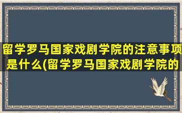 留学罗马国家戏剧学院的注意事项是什么(留学罗马国家戏剧学院的注意事项)