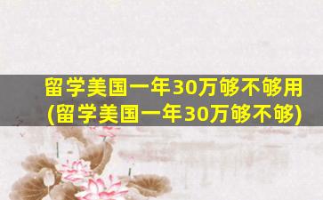 留学美国一年30万够不够用(留学美国一年30万够不够)