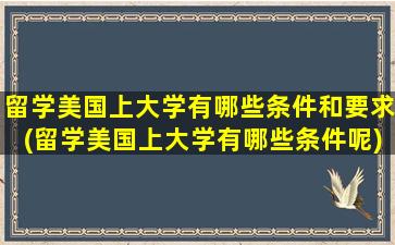 留学美国上大学有哪些条件和要求(留学美国上大学有哪些条件呢)