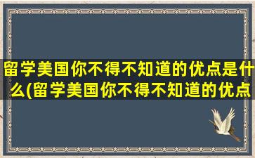 留学美国你不得不知道的优点是什么(留学美国你不得不知道的优点和缺点)