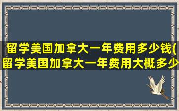 留学美国加拿大一年费用多少钱(留学美国加拿大一年费用大概多少)