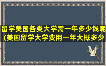 留学美国各类大学需一年多少钱呢(美国留学大学费用一年大概多少人民币)