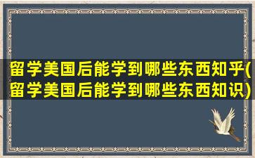 留学美国后能学到哪些东西知乎(留学美国后能学到哪些东西知识)