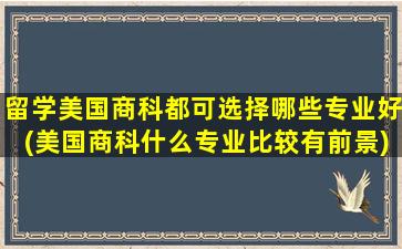 留学美国商科都可选择哪些专业好(美国商科什么专业比较有前景)