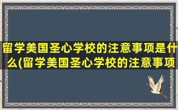 留学美国圣心学校的注意事项是什么(留学美国圣心学校的注意事项)