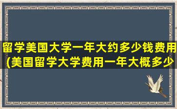 留学美国大学一年大约多少钱费用(美国留学大学费用一年大概多少人民币)