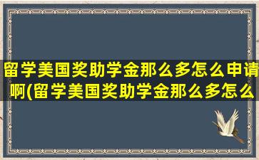 留学美国奖助学金那么多怎么申请啊(留学美国奖助学金那么多怎么申请啊多少钱)