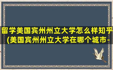 留学美国宾州州立大学怎么样知乎(美国宾州州立大学在哪个城市-)