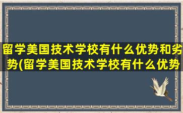 留学美国技术学校有什么优势和劣势(留学美国技术学校有什么优势嘛)