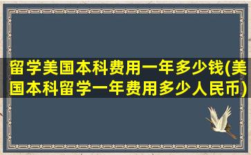 留学美国本科费用一年多少钱(美国本科留学一年费用多少人民币)