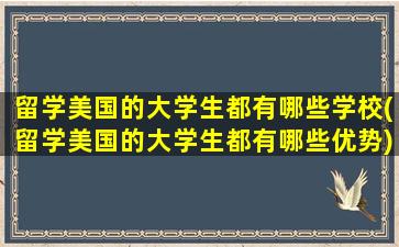 留学美国的大学生都有哪些学校(留学美国的大学生都有哪些优势)