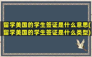 留学美国的学生签证是什么意思(留学美国的学生签证是什么类型)