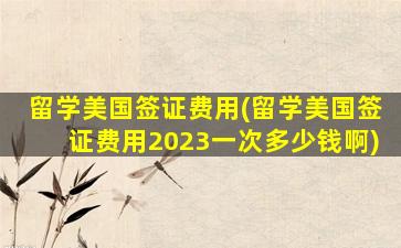 留学美国签证费用(留学美国签证费用2023一次多少钱啊)