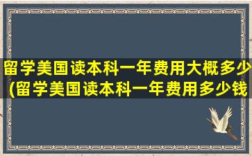 留学美国读本科一年费用大概多少(留学美国读本科一年费用多少钱)