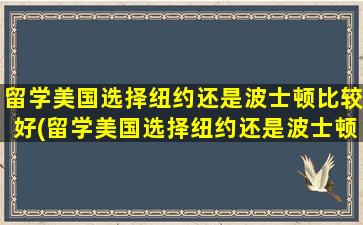 留学美国选择纽约还是波士顿比较好(留学美国选择纽约还是波士顿)