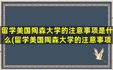 留学美国陶森大学的注意事项是什么(留学美国陶森大学的注意事项)