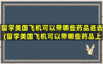 留学美国飞机可以带哪些药品进去(留学美国飞机可以带哪些药品上飞机)