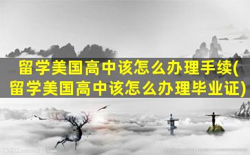 留学美国高中该怎么办理手续(留学美国高中该怎么办理毕业证)