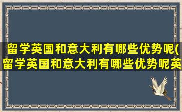 留学英国和意大利有哪些优势呢(留学英国和意大利有哪些优势呢英文)