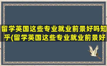 留学英国这些专业就业前景好吗知乎(留学英国这些专业就业前景好不好)