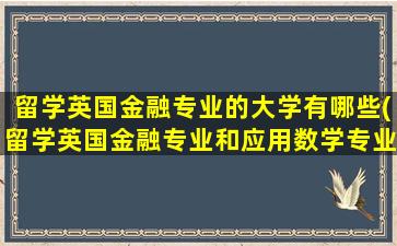 留学英国金融专业的大学有哪些(留学英国金融专业和应用数学专业选哪个)