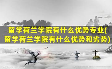 留学荷兰学院有什么优势专业(留学荷兰学院有什么优势和劣势)