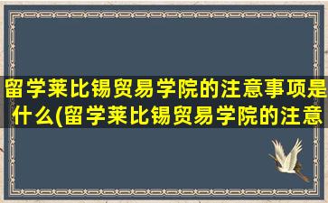 留学莱比锡贸易学院的注意事项是什么(留学莱比锡贸易学院的注意事项包括)