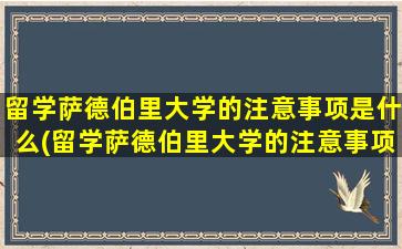 留学萨德伯里大学的注意事项是什么(留学萨德伯里大学的注意事项)