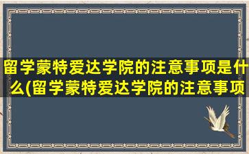 留学蒙特爱达学院的注意事项是什么(留学蒙特爱达学院的注意事项)