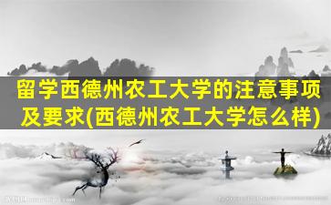 留学西德州农工大学的注意事项及要求(西德州农工大学怎么样)