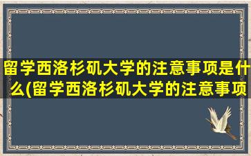 留学西洛杉矶大学的注意事项是什么(留学西洛杉矶大学的注意事项)