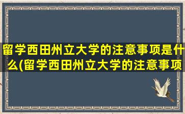 留学西田州立大学的注意事项是什么(留学西田州立大学的注意事项)