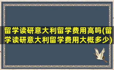 留学读研意大利留学费用高吗(留学读研意大利留学费用大概多少)