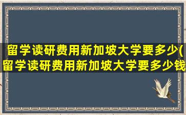 留学读研费用新加坡大学要多少(留学读研费用新加坡大学要多少钱)