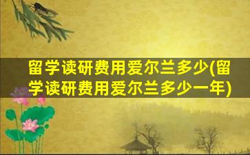 留学读研费用爱尔兰多少(留学读研费用爱尔兰多少一年)