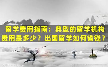 留学费用指南：典型的留学机构费用是多少？出国留学如何省钱？