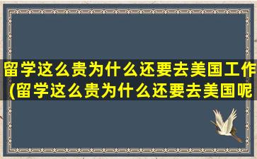 留学这么贵为什么还要去美国工作(留学这么贵为什么还要去美国呢)