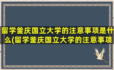 留学釜庆国立大学的注意事项是什么(留学釜庆国立大学的注意事项)