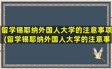 留学锡耶纳外国人大学的注意事项(留学锡耶纳外国人大学的注意事项是什么)