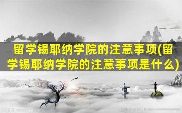 留学锡耶纳学院的注意事项(留学锡耶纳学院的注意事项是什么)