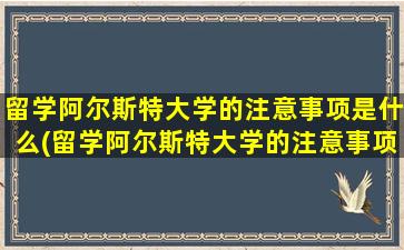 留学阿尔斯特大学的注意事项是什么(留学阿尔斯特大学的注意事项)