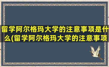 留学阿尔格玛大学的注意事项是什么(留学阿尔格玛大学的注意事项包括)