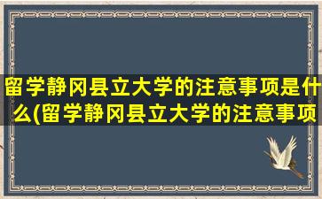 留学静冈县立大学的注意事项是什么(留学静冈县立大学的注意事项)