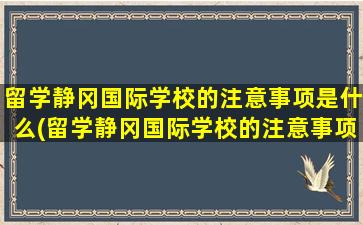 留学静冈国际学校的注意事项是什么(留学静冈国际学校的注意事项)