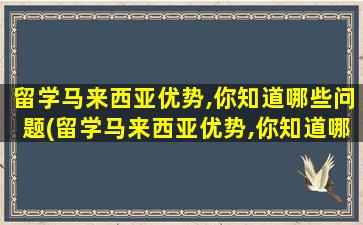 留学马来西亚优势,你知道哪些问题(留学马来西亚优势,你知道哪些知识)