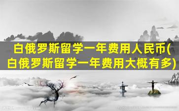 白俄罗斯留学一年费用人民币(白俄罗斯留学一年费用大概有多)