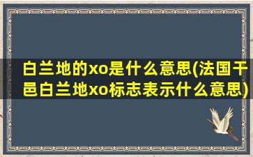 白兰地的xo是什么意思(法国干邑白兰地xo标志表示什么意思)